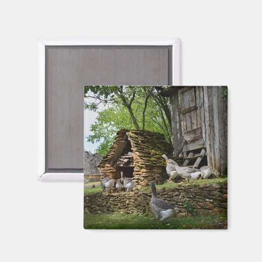 Traditioneller Gänsemagnet Magnet (Vorderseite/Rückseite)