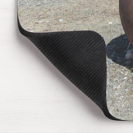 Traditioneller griechischer Terracotta Pot am Stra Mousepad (Ecke)