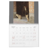 Traditioneller Kalender Taiwan-Sammlungs-2010 (Mär 2027)