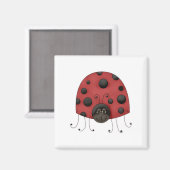 Traditioneller Lady Bug Magnet (Vorderseite/Rückseite)