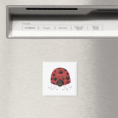 Traditioneller Lady Bug Magnet (In Situ (Geschirrspüler))