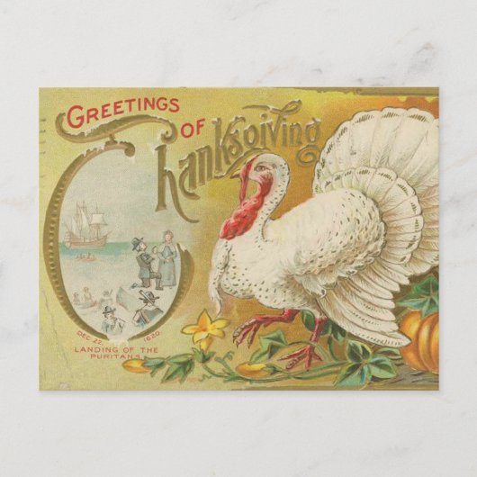 Traditioneller Truthahn zu Thanksgiving Postkarte (Vorderseite)