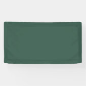 Traditionelles - Aquamarines grünes Banner (Horizontal)