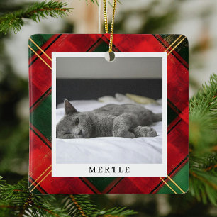 Traditionelles festliches Kariertes Foto mit Haust Keramikornament