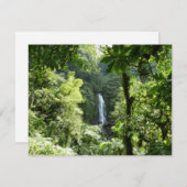 Trafalgar Falls Tropical Rainforest Fotografie (Vorne/Hinten)