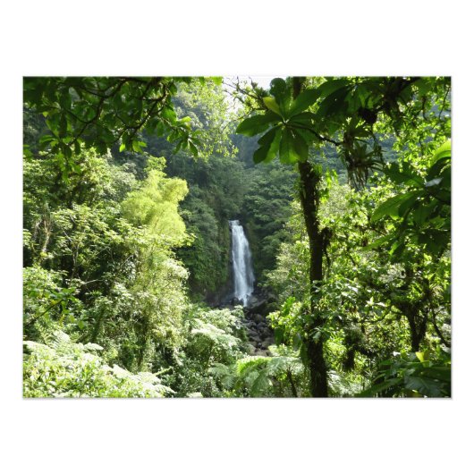 Trafalgar Falls Tropical Rainforest Fotografie (Vorne)