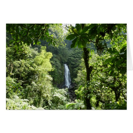 Trafalgar Falls Tropical Rainforest Fotografie (Vorderseite (Horizontal))