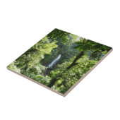 Trafalgar Falls Tropical Rainforest Fotografie Fliese (Seite)