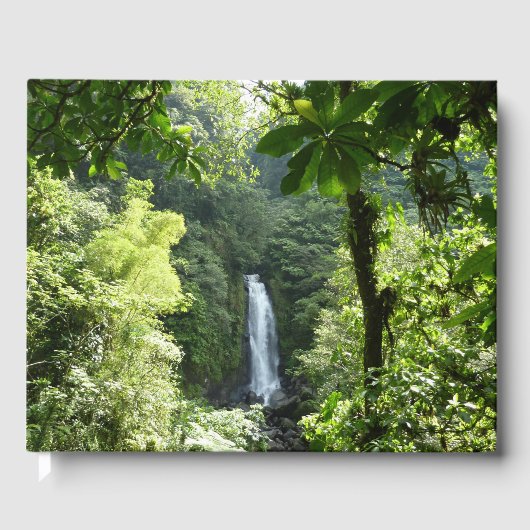 Trafalgar Falls Tropical Rainforest Fotografie Gästebuch (Vorderseite)
