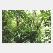 Trafalgar Falls Tropical Rainforest Fotografie Geschenkpapier Set (Vorderseite 2)
