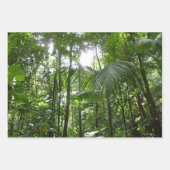Trafalgar Falls Tropical Rainforest Fotografie Geschenkpapier Set (Vorderseite 3)