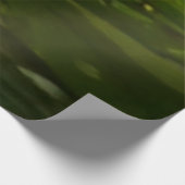 Trafalgar Falls Tropical Rainforest Fotografie Holzposter (Ecke)