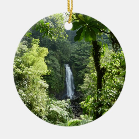 Trafalgar Falls Tropical Rainforest Fotografie Keramik Ornament (Vorne)