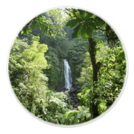 Trafalgar Falls Tropical Rainforest Fotografie Keramikknauf