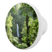 Trafalgar Falls Tropical Rainforest Fotografie Keramikknauf (Rechts)