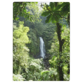 Trafalgar Falls Tropical Rainforest Fotografie Klemmbrett (Rückseite)