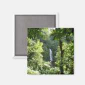 Trafalgar Falls Tropical Rainforest Fotografie Magnet (Vorderseite/Rückseite)