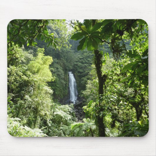 Trafalgar Falls Tropical Rainforest Fotografie Mousepad (Vorne)