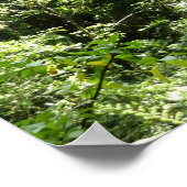 Trafalgar Falls Tropical Rainforest Fotografie Poster (Ecke)