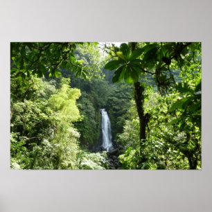 Trafalgar Falls Tropical Rainforest Fotografie Poster