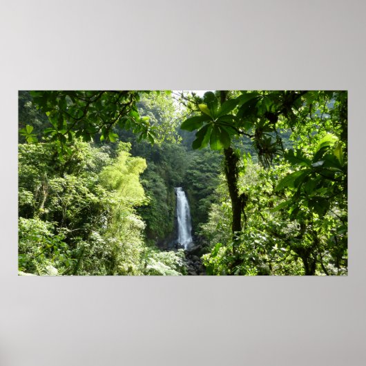 Trafalgar Falls Tropical Rainforest Fotografie Poster (Vorne)