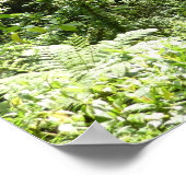 Trafalgar Falls Tropical Rainforest Fotografie Poster (Ecke)
