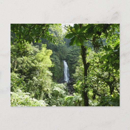 Trafalgar Falls Tropical Rainforest Fotografie Postkarte (Vorderseite)