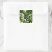 Trafalgar Falls Tropical Rainforest Fotografie Quadratischer Aufkleber (Tasche)
