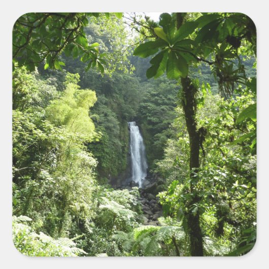 Trafalgar Falls Tropical Rainforest Fotografie Quadratischer Aufkleber (Vorderseite)