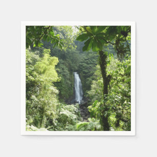 Trafalgar Falls Tropical Rainforest Fotografie Serviette