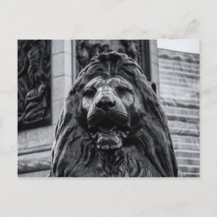 Trafalgar Square Bronze Lion Postkarte