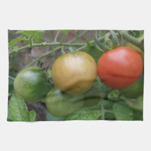 Traffic Light Tomates Küchentücher