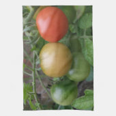 Traffic Light Tomates Küchentücher (Vertikal)