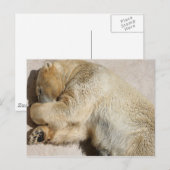 tragen postkarte (Vorne/Hinten)