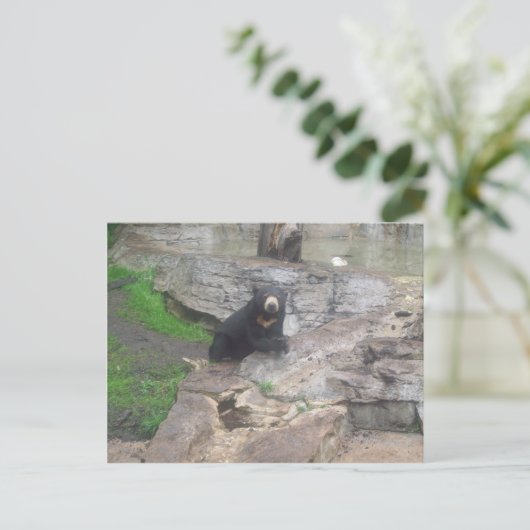 tragen postkarte (Stehend Vorderseite)