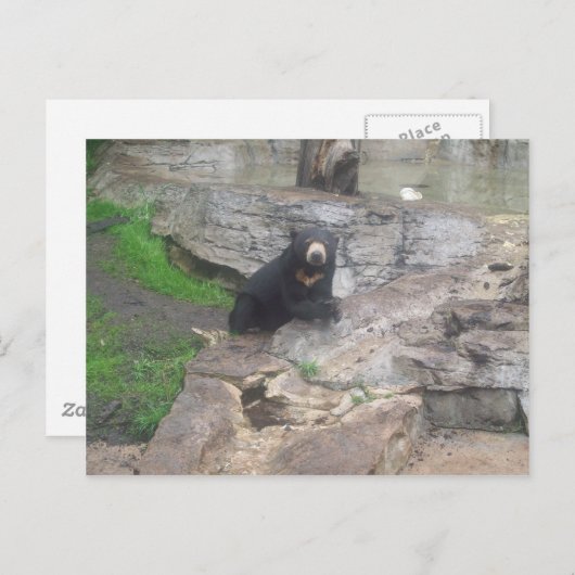 tragen postkarte (Vorne/Hinten)