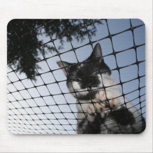 Tragen Sie die Katze am Sonnenuntergang Mousepad