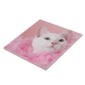 Tragende Federboa der Katze Fliese (Seite)