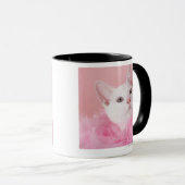 Tragende Federboa der Katze Tasse (VorderseiteRechts)