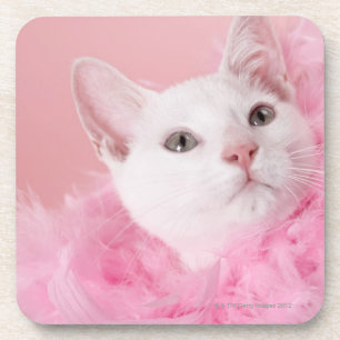 Tragende Federboa der Katze Untersetzer