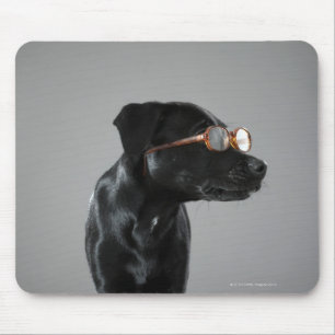 Tragende Gläser des Welpen Mousepad
