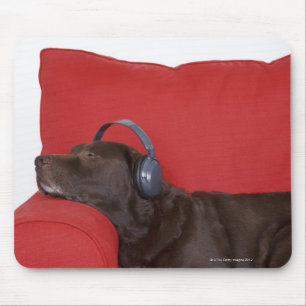 Tragende Kopfhörer Labradors, die auf Sofa liegen Mousepad