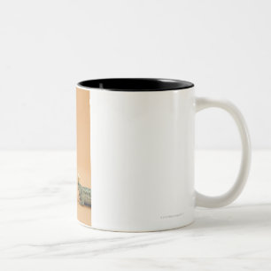 Tragende Kronen des Frosches und der Eidechse Zweifarbige Tasse