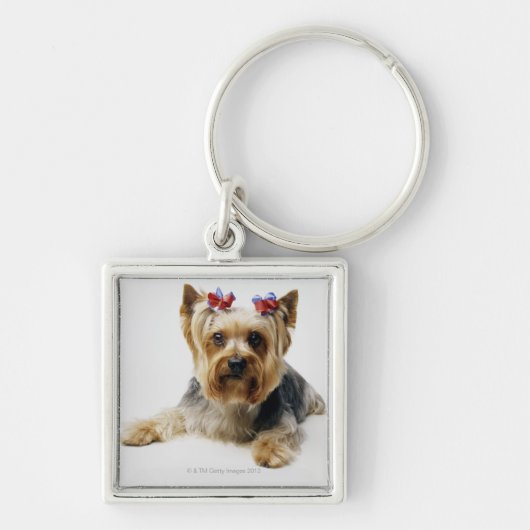 Tragende Rotbögen Yorkshire-Terriers Schlüsselanhänger (Vorne)