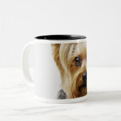 Tragende Rotbögen Yorkshire-Terriers Zweifarbige Tasse (Vorderseite Links)