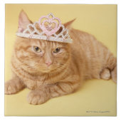 Tragende Tiara der Katze Fliese (Vorderseite)
