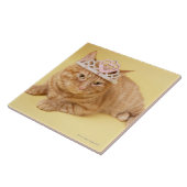 Tragende Tiara der Katze Fliese (Seite)