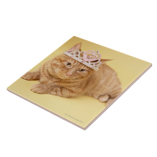 Tragende Tiara der Katze Fliese (Seite)