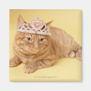 Tragende Tiara der Katze Magnet