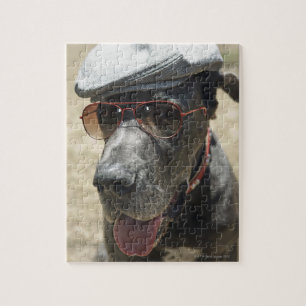 Tragender Hut und Sonnenbrille der Deutschen Dogge Puzzle